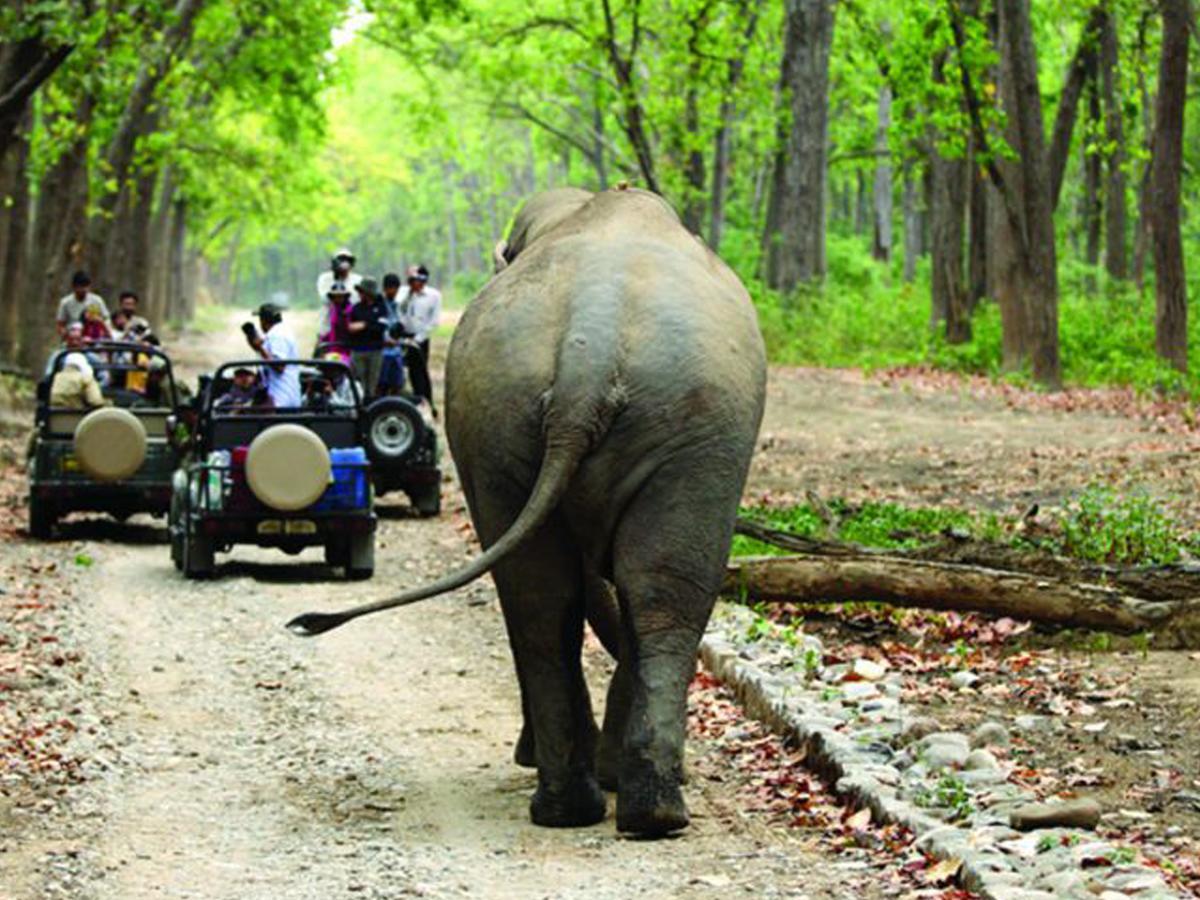 Corbett Treat Resort Rāmnagar Eksteriør bilde