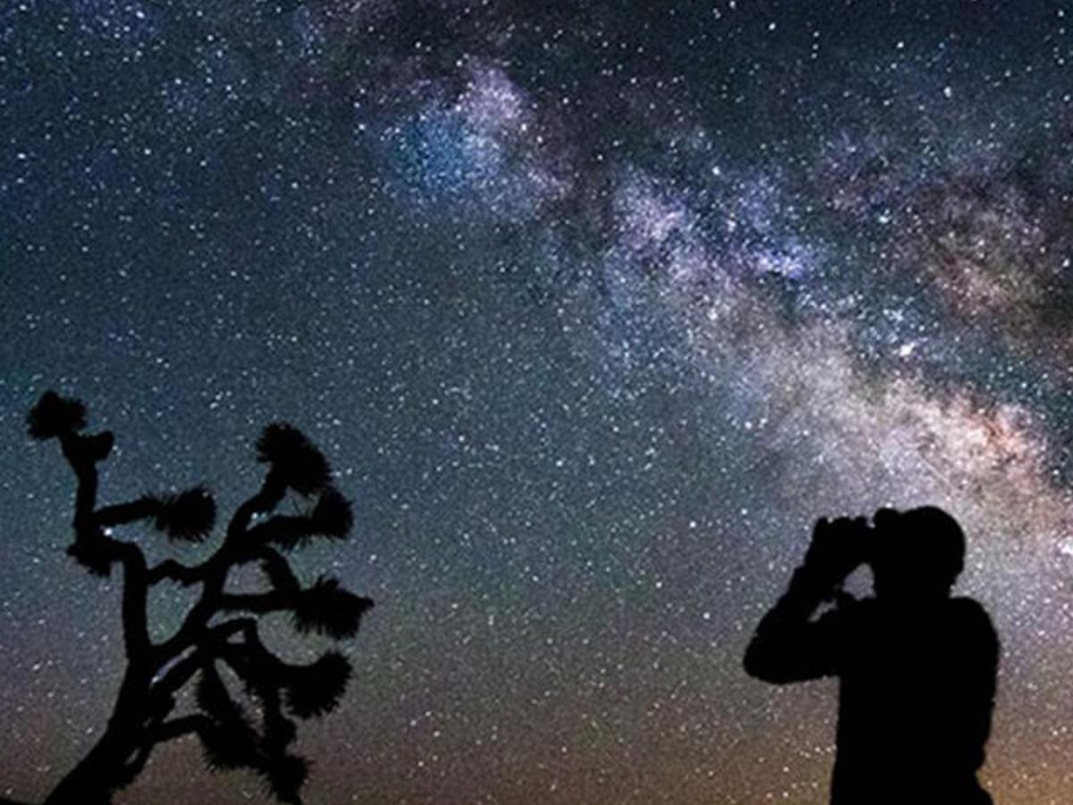 Corbett Treat Resort Rāmnagar Eksteriør bilde