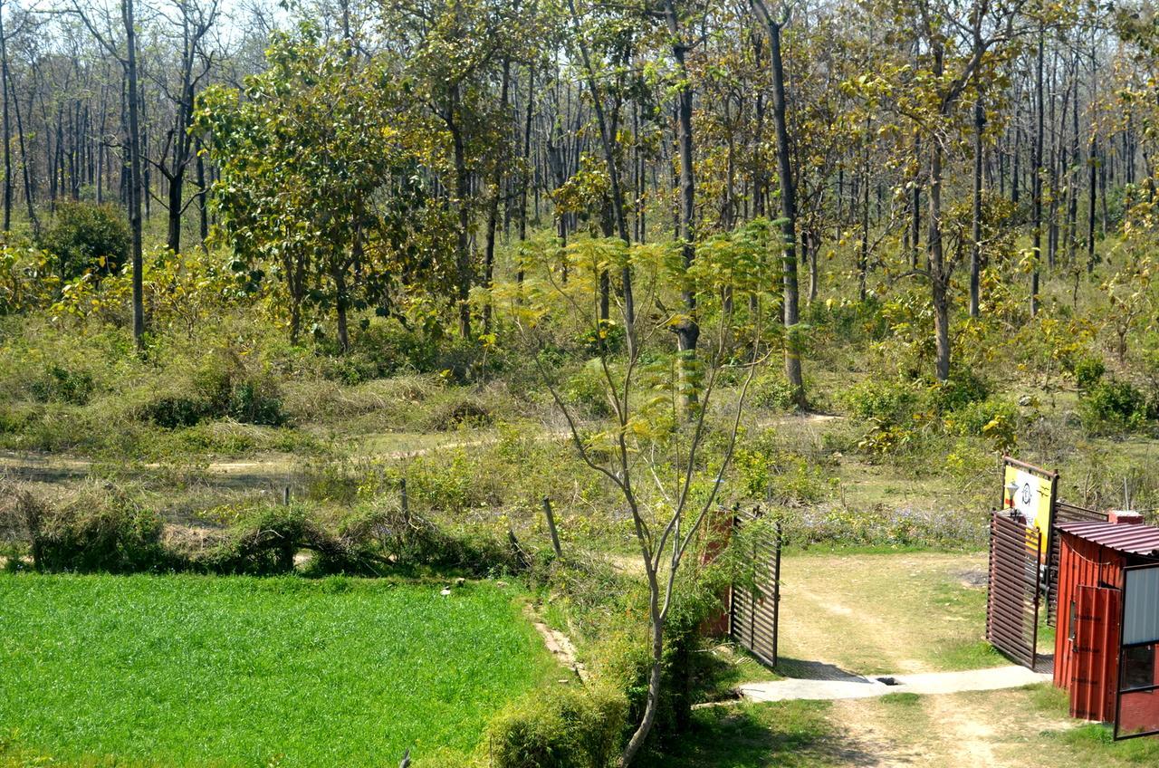 Corbett Treat Resort Rāmnagar Eksteriør bilde